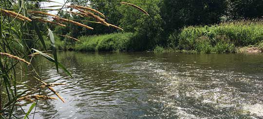 Little Rock Creek